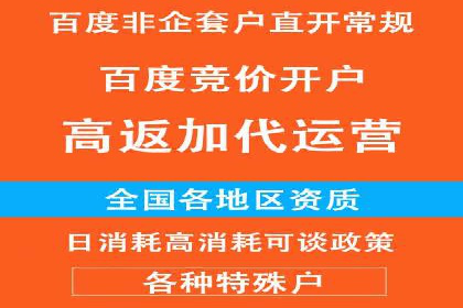 成功秘诀：竞价推广公司案例深度解析